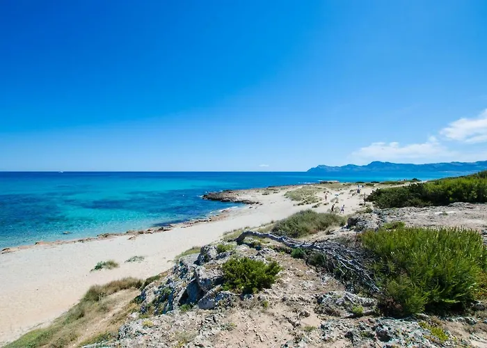 Hotel Africamar Can Picafort (Mallorca)